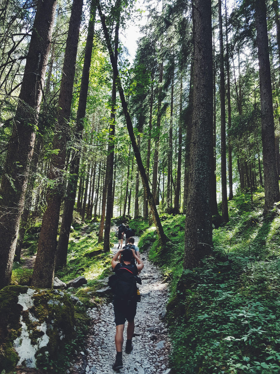 The Pivotal Role of Recreational Therapy in Wellness and Recovery