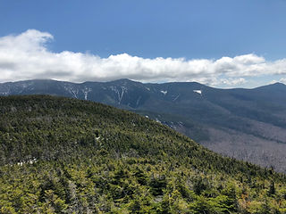 IMG_4452.jpeg