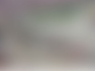 Full Throttle into Antitrust: NASCAR’s Charter Dispute & Settlement