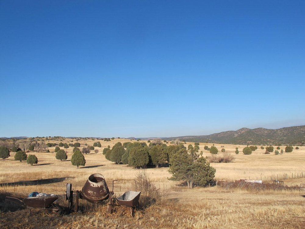 The Results of the Pleasant Valley War Between The GrahamsTewksburys