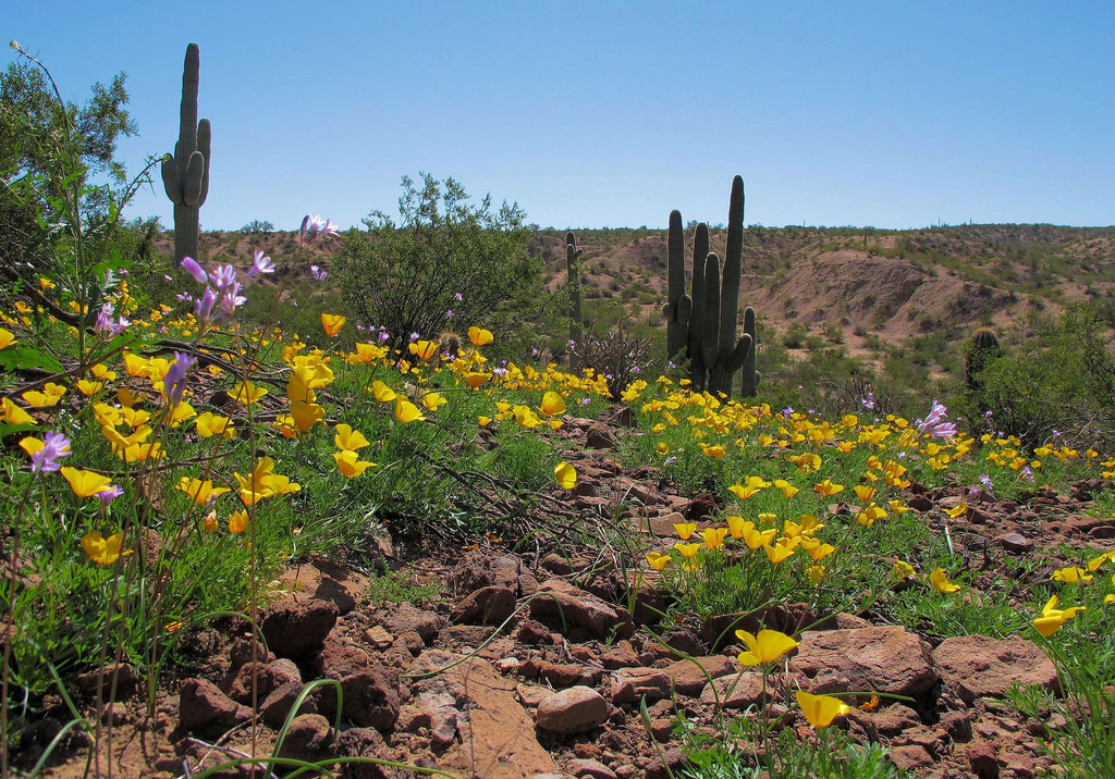 Discover Gila County Winkelman, Arizona