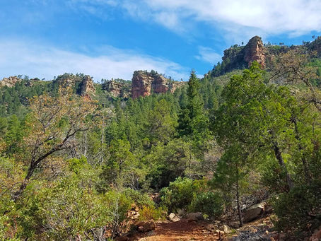 The Life of Christopher Creek Pioneers