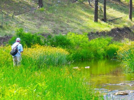 Exploring Canyon Creek - Gila County, Arizona