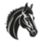 horse hti
