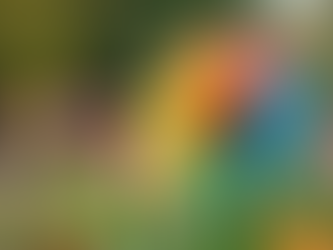 Creative Ways to Turn Recycled Materials into Stunning Art Pieces