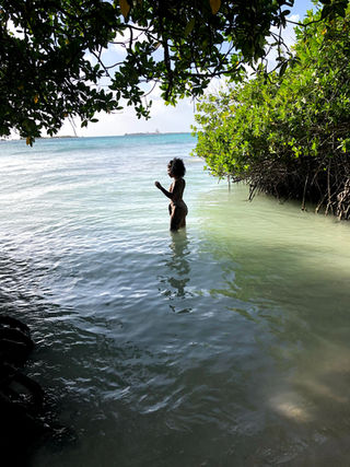 IMG_3530.jpe