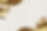 AdobeStock_589372840 (1).jpeg