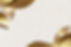 AdobeStock_589372840 (1).jpeg