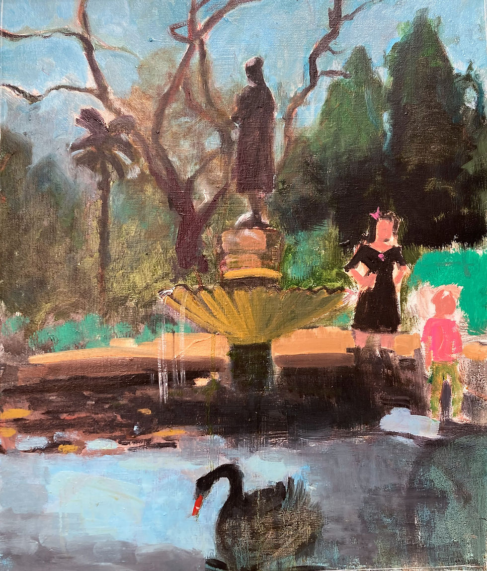 Black Swan San Anton gardens