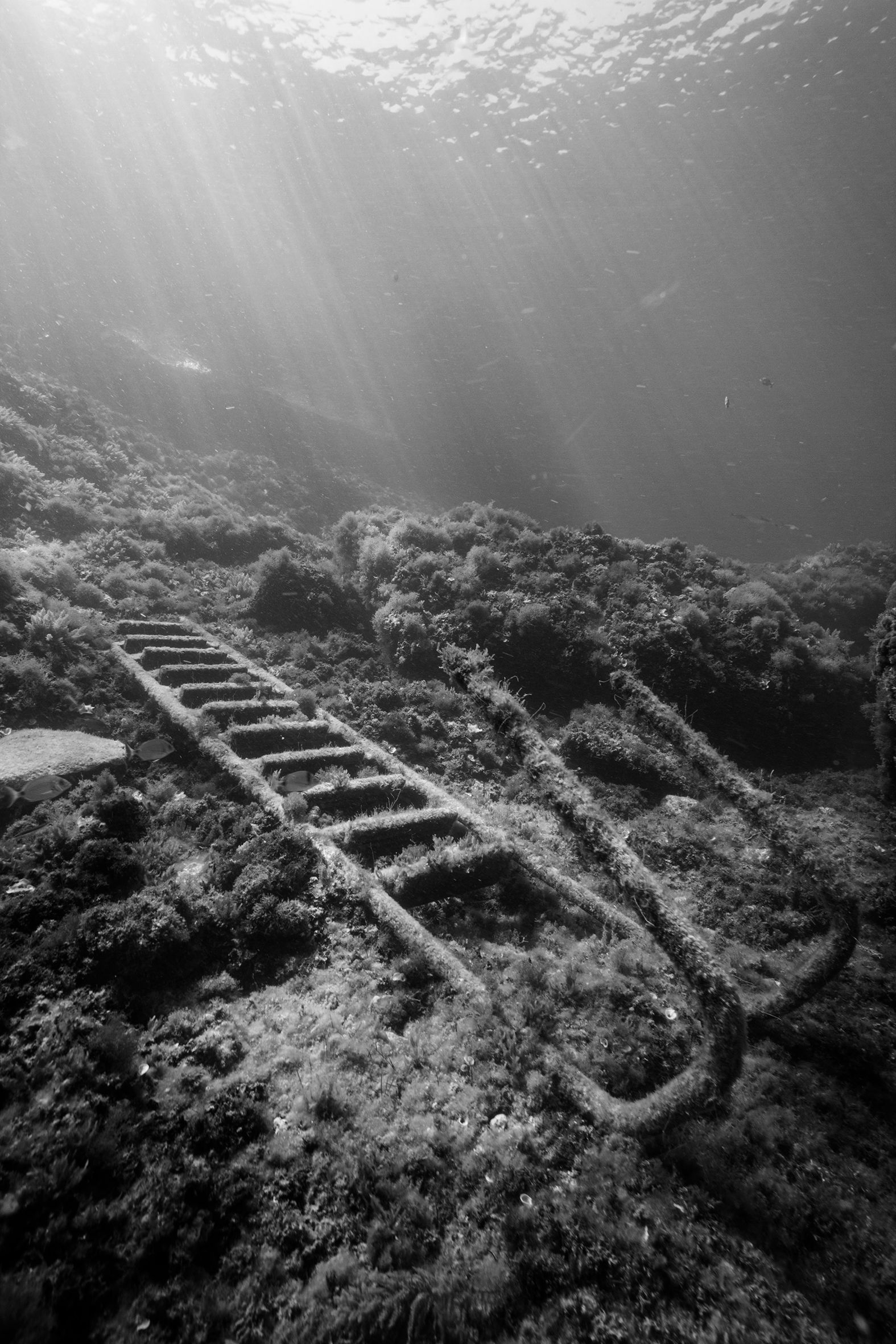 Harmful Abandonment IIX