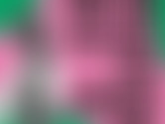 Cover of Thank You for Calling the Lesbian Line by Elizabeth Lovatt, a book exploring lesbian history and community support networks