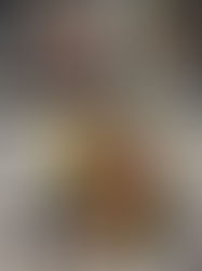 Staff Takeover: Discover Our Weekly Limited-Time Features at the Unconventional Mexican-Inspired Taco Shop