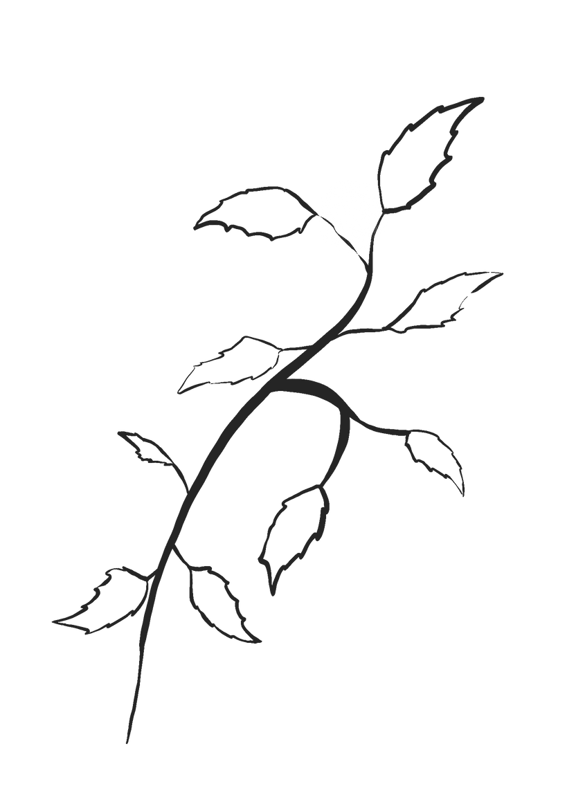 Untitled_Artwork 6.png