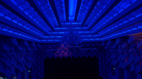 The Capitol Light Project