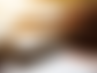 Inventory Write-Off: 5 Simple Steps to Writing Off Inventory