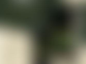 Te presento mi novela: "Lady Mencha, señora del monte"