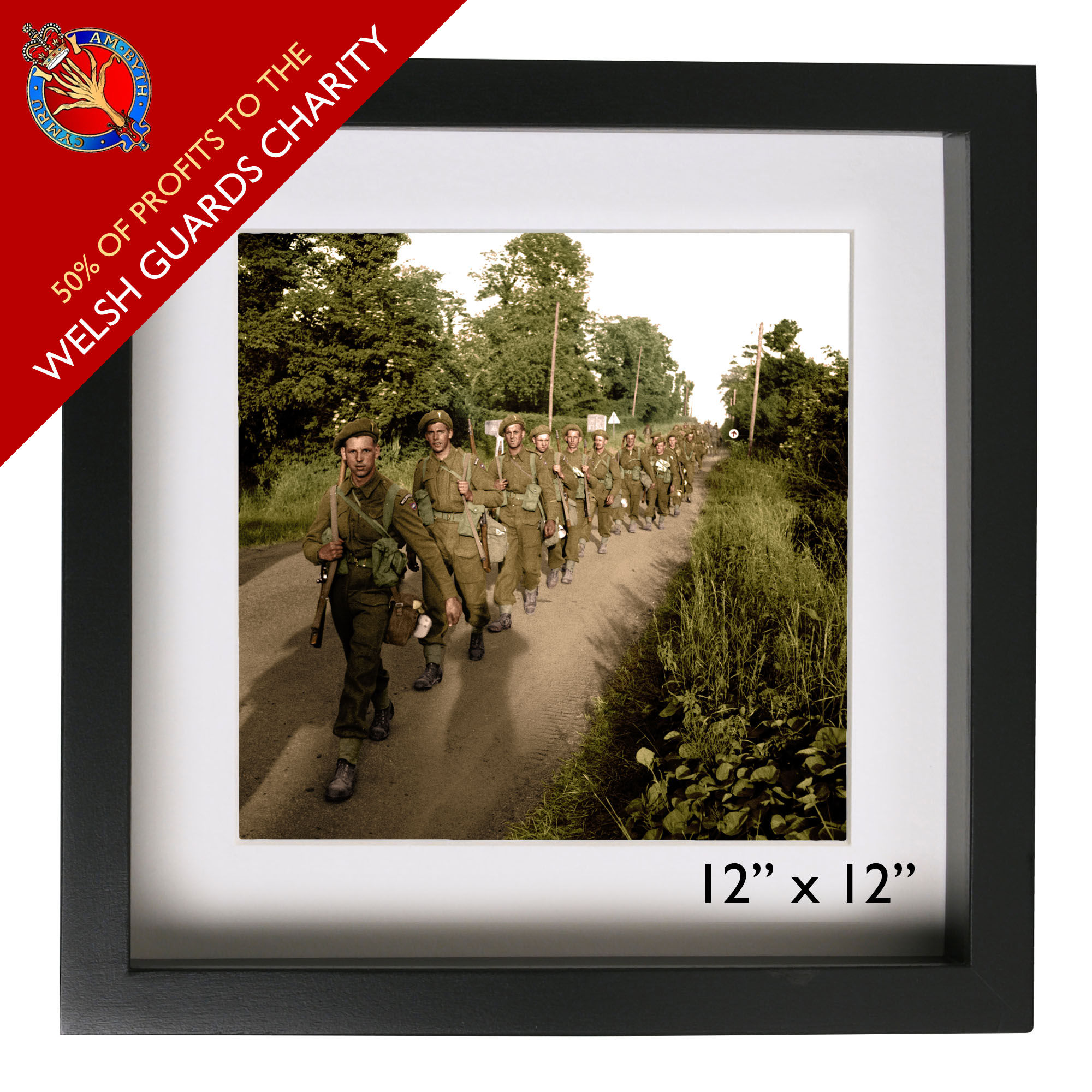 Welsh Guards in Normandy, 1944 (50% to Charity)