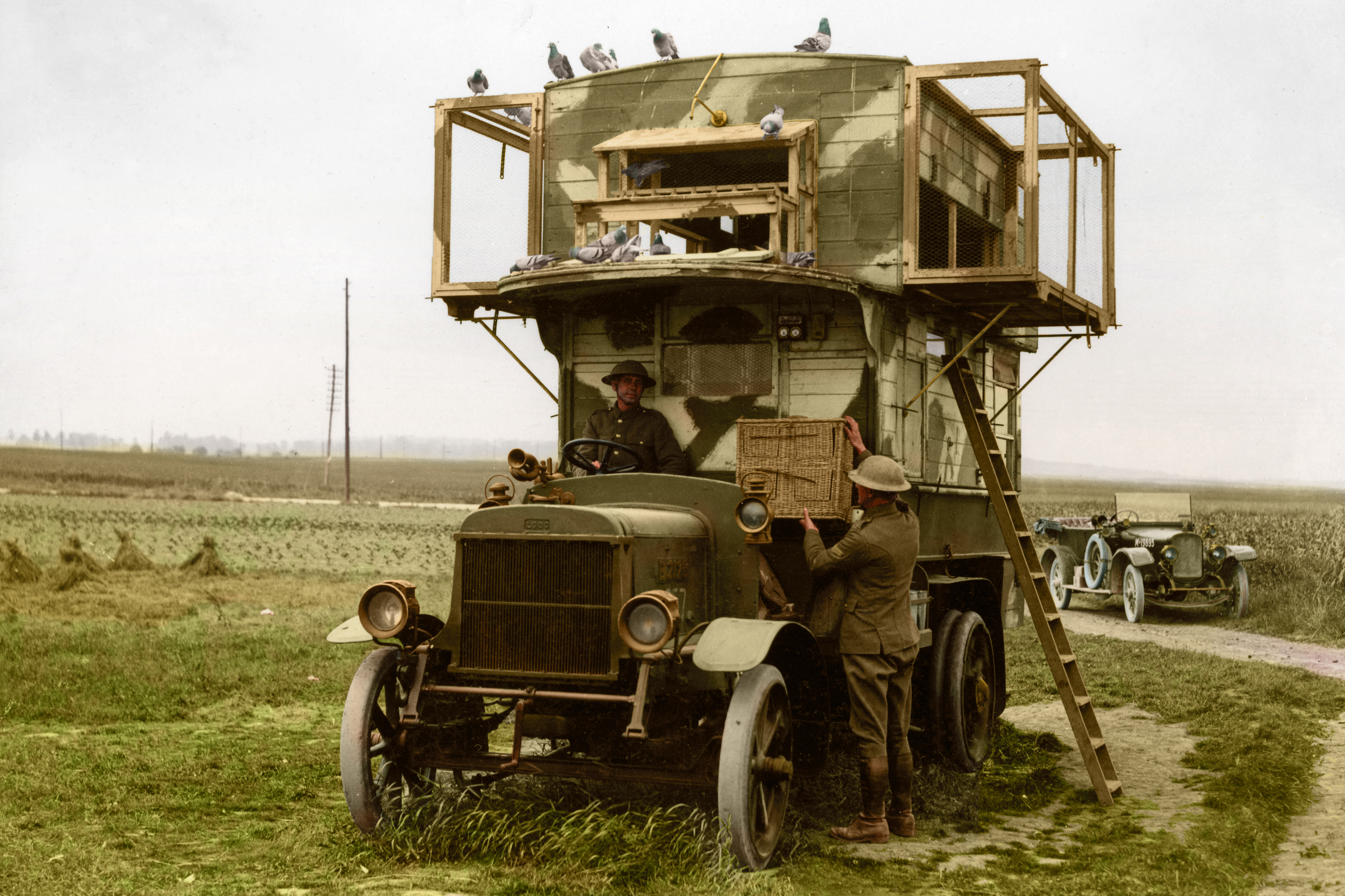 A mobile pigeon loft