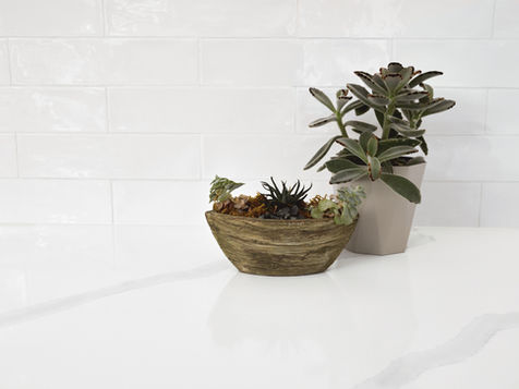 Statuary Unity by Daltile-ONE