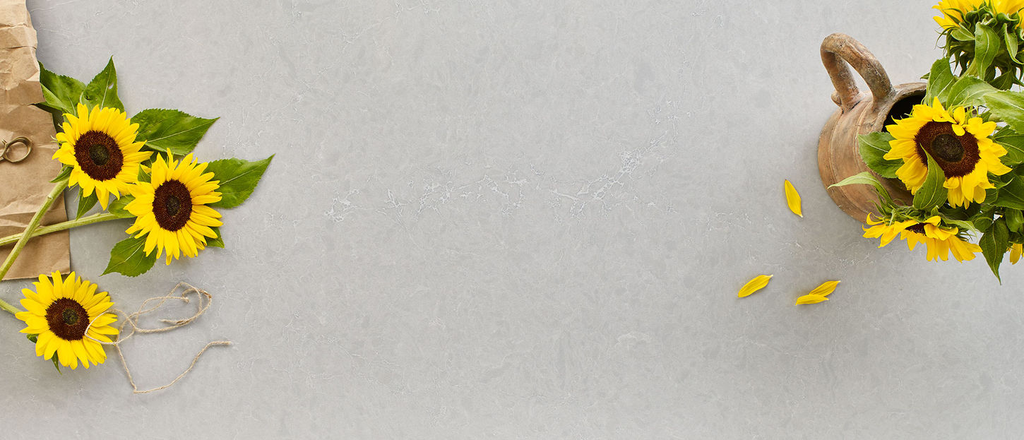 Vena Carbona® by MSI