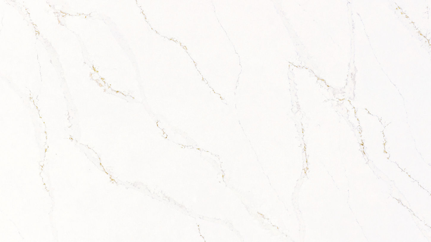Calacatta Alabaster by Daltile-ONE