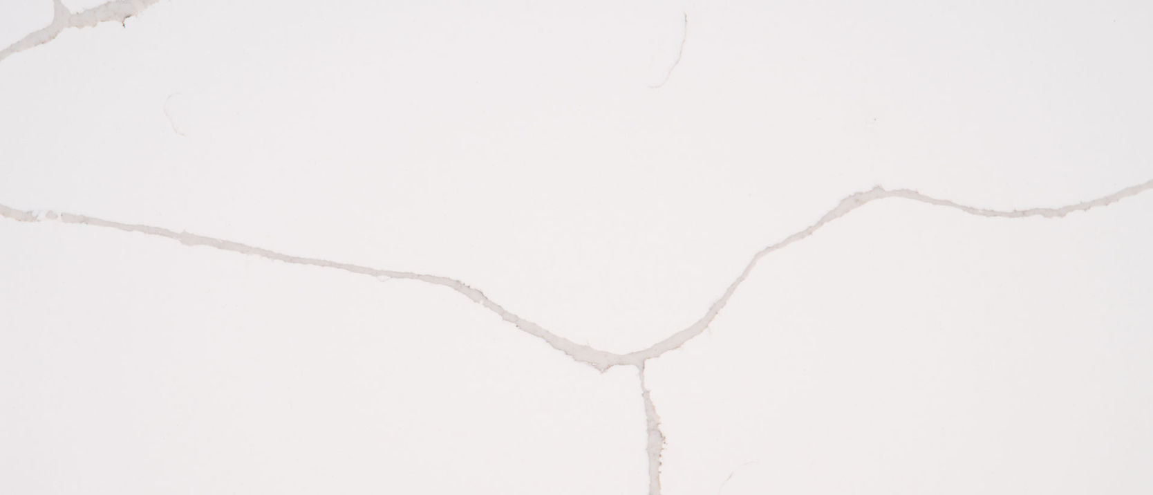 Calacatta Classique® by MSI