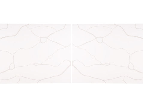 Calacatta Classique® by MSI