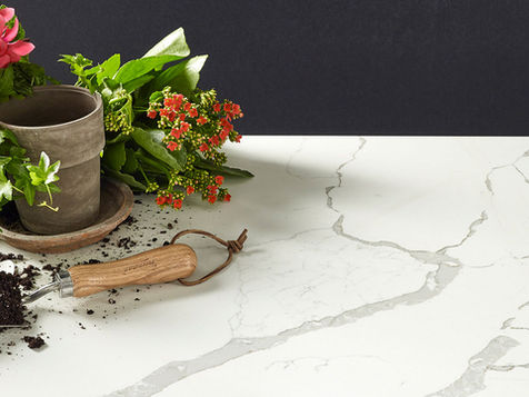 Calacatta Laza® by MSI