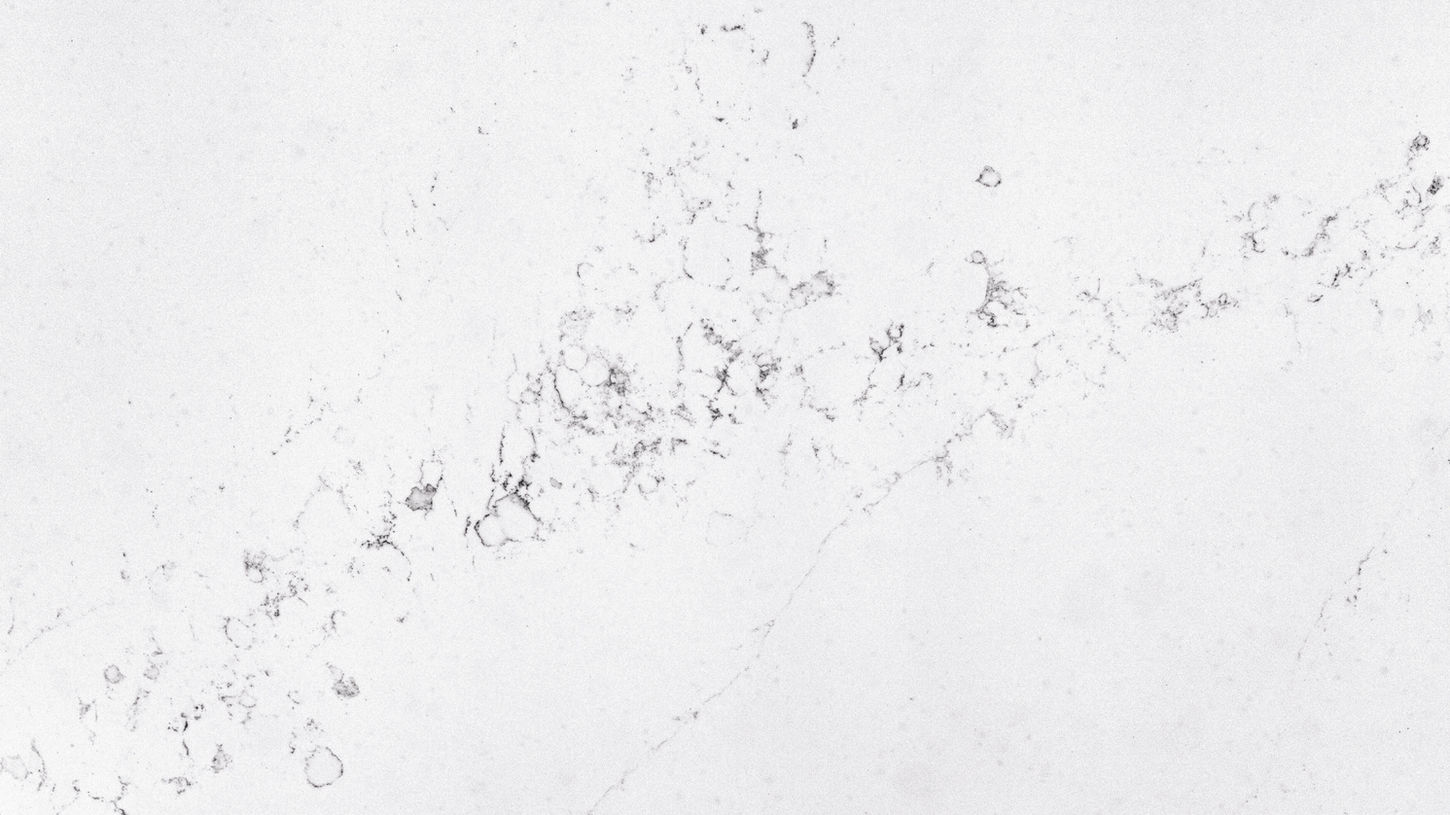 Calacatta Villa by Daltile-ONE