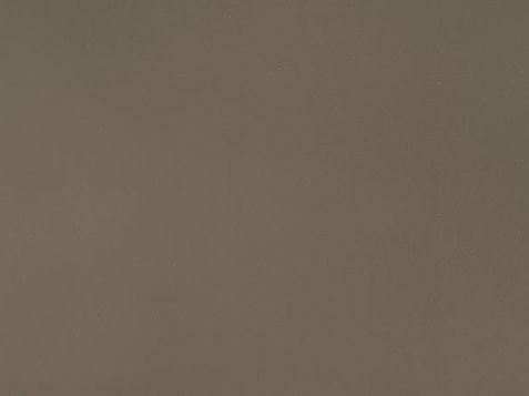 Fossil Brown® by MSI