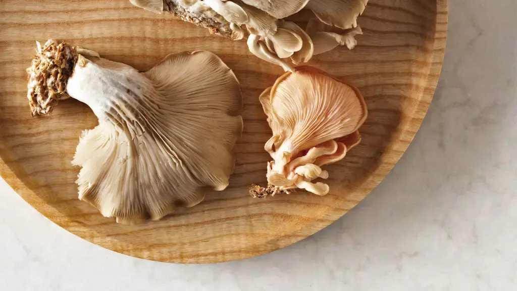 London Grey by Caesarstone