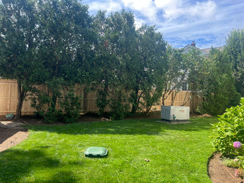 A backyard scene with a green lawn, surrounded by a black metal fence and lush trees.
