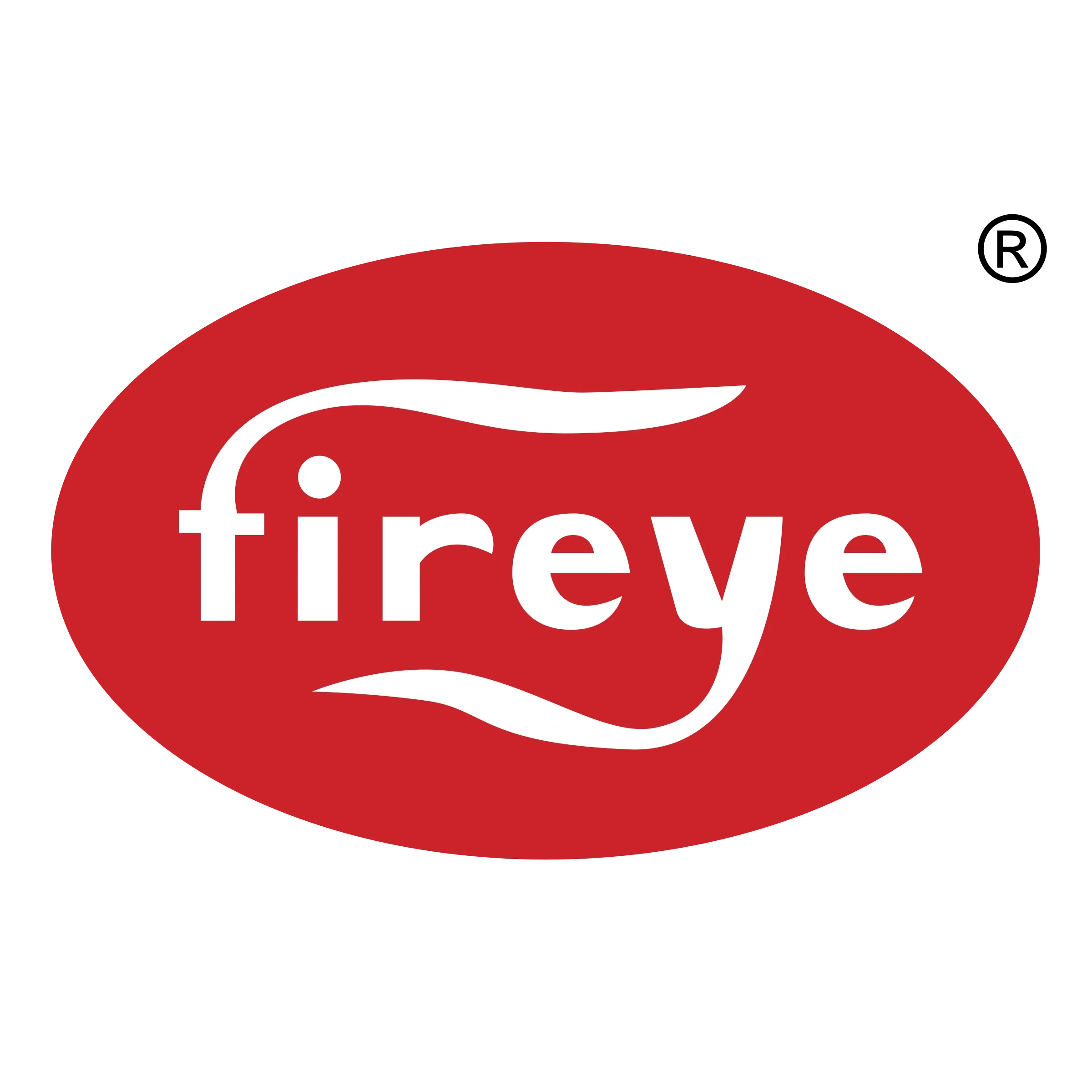 fireye-logo-png-transparent.webp