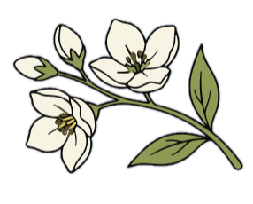 FullLogo__2__edited.png