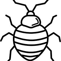 outline of bed bug.png