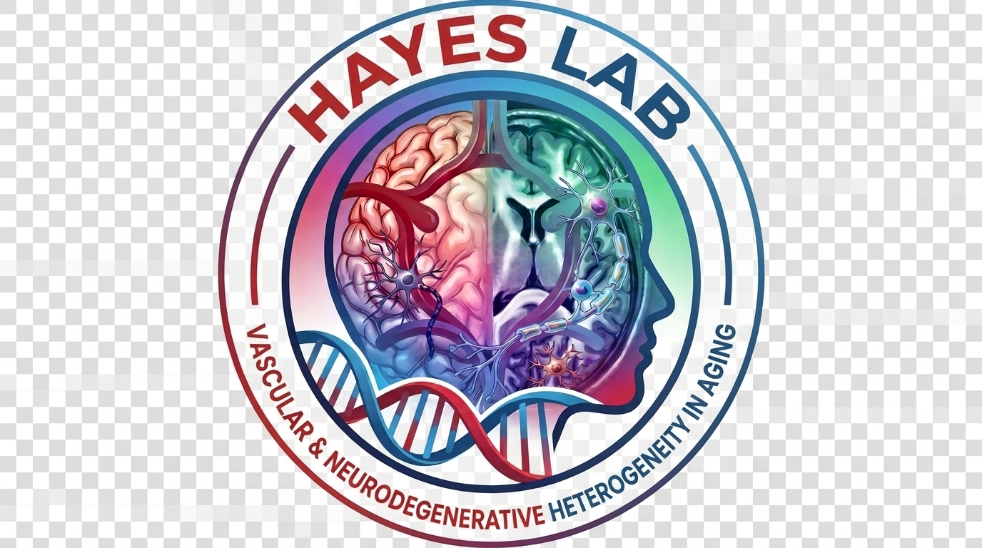hayes_logo_nowhitebackground.png
