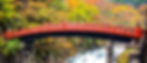 Bridge image.jpg