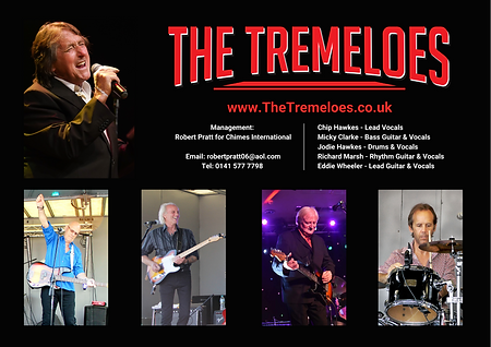 The Tremeloes - 2021 Promo Image