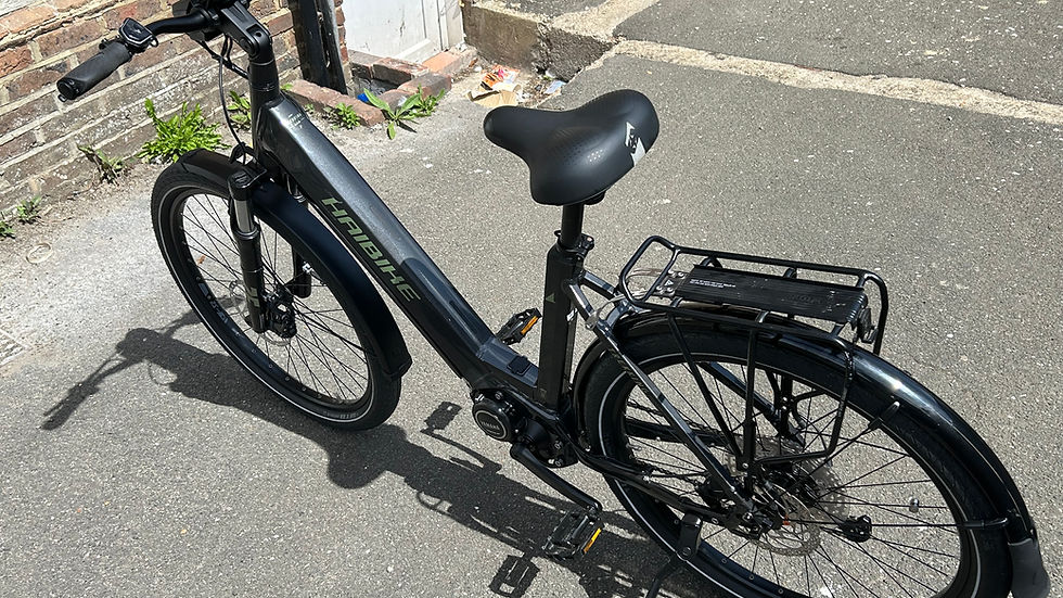 2022 HaiBike Trekking 7 Low Step