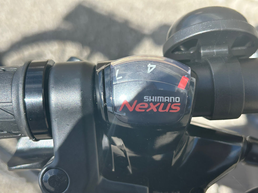 EZEGO Step NX700 Low Step Electric Bike
