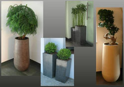 12031989_1057710400939986_3568897108240179067_n