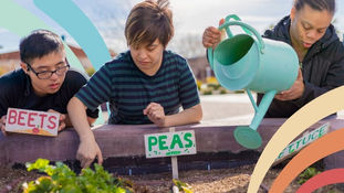 5 Tips to Grow Your Network of Support