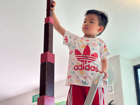 How Montessori Educational Programs Foster Independent Learning