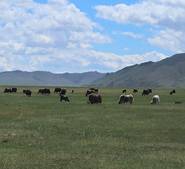Gun-Galuut.Mongolia.jpg