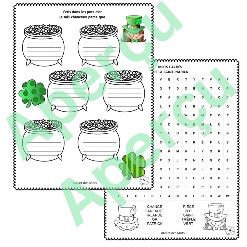 Miniature : Cahier d'activités Saint-Patrick 2e à 4e année