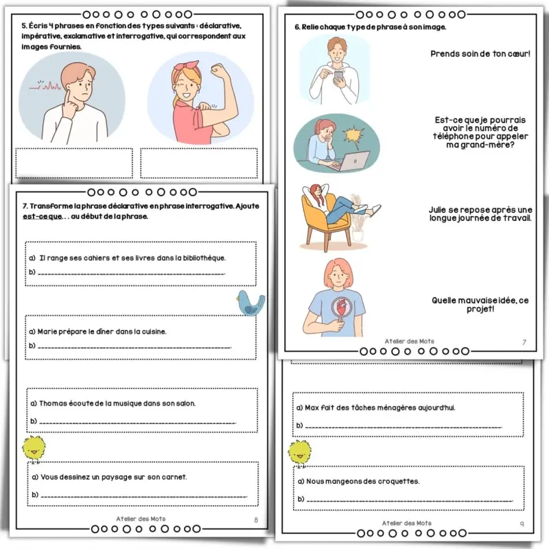 Miniature : Les types de phrases 4e