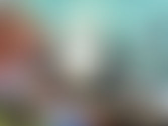 The Importance of Pet Therapy for Seniors in Nova Scotia