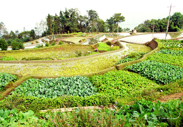 Close scenery at Duoyishu