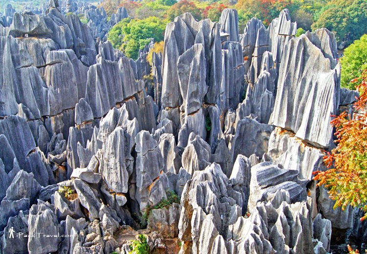 Stone Forest, Shilin