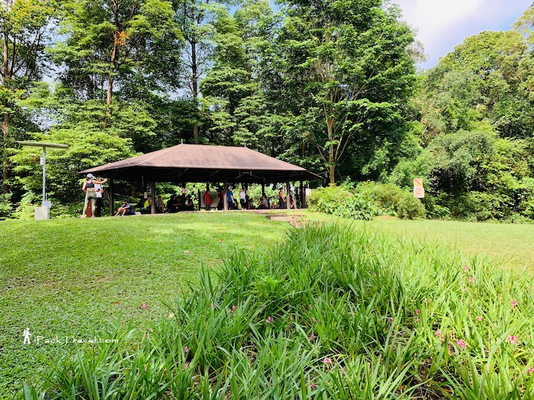Bukit Timah Summit